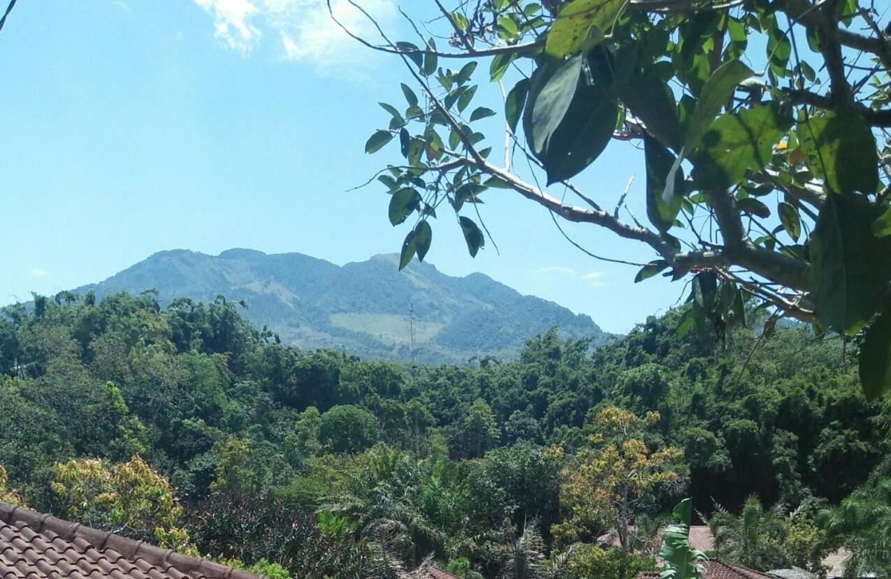 Green Valley Resort Bandungan Dış mekan fotoğraf